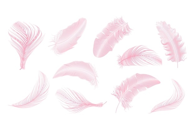 Vector colección de plumas de color rosa sobre un fondo blanco.