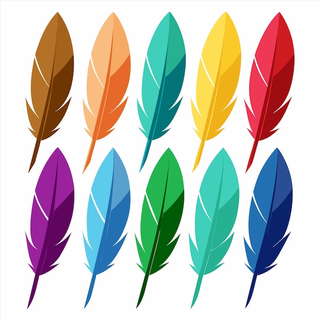 una colección de plumas de colores con un fondo blanco que dice quot pluma quot