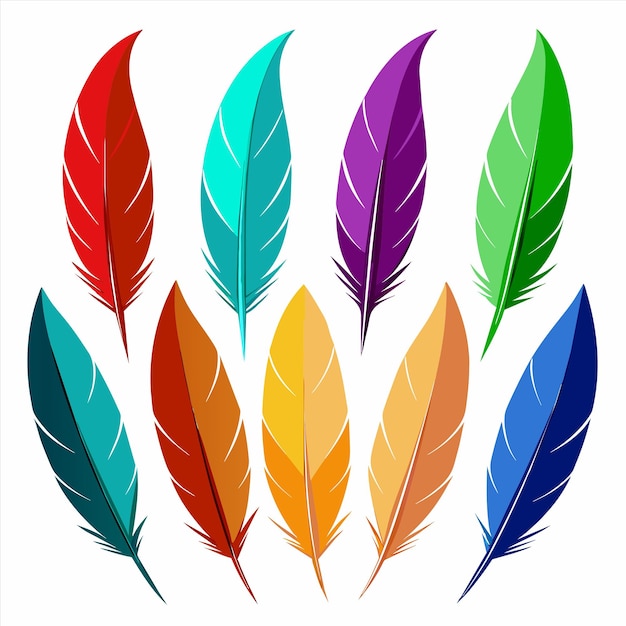 una colección de plumas de colores con un fondo blanco