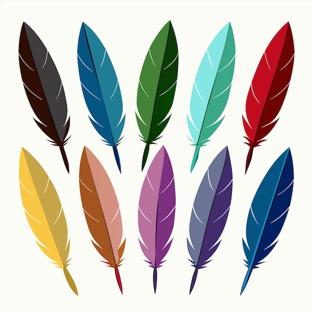 una colección de plumas coloridas con un fondo blanco