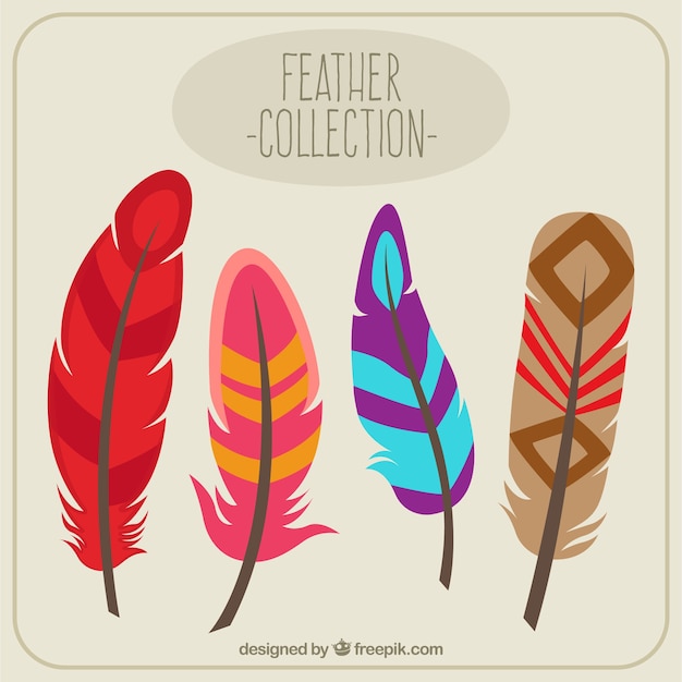 Vector colección de plumas coloridas