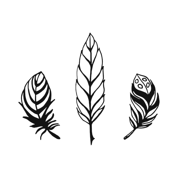 Colección de plumas dibujadas a mano, ilustración de tinta de vector aislado sobre fondo blanco.