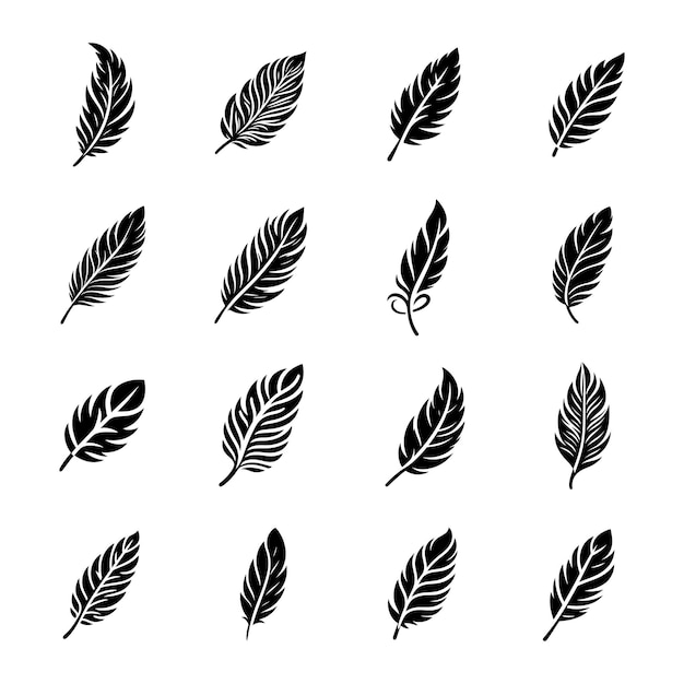 Colección de plumas en estilo plano Siluetas de plumas de pluma negra para diseños de naturaleza y escritura