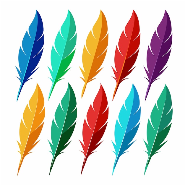 una colección de plumas con un fondo blanco que dice quot colorido quot