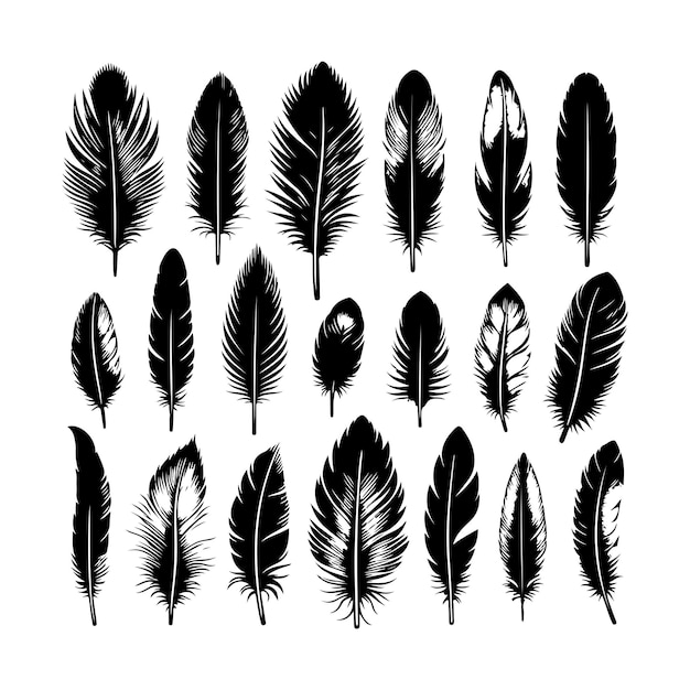 una colección de plumas y las palabras pluma en la parte inferior