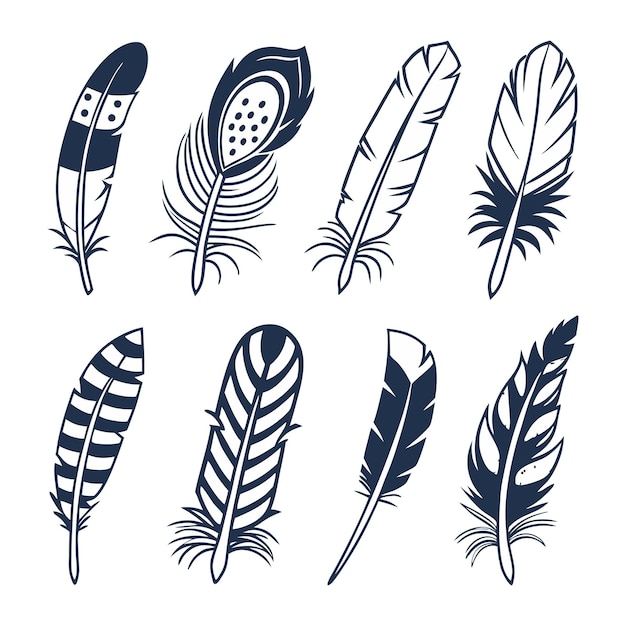 Colección de plumas