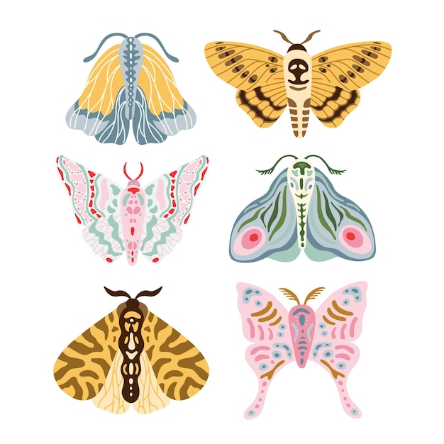 Vector colección de polillas mariposas exóticas conjunto de insectos voladores tropicales en estilo de dibujos animados