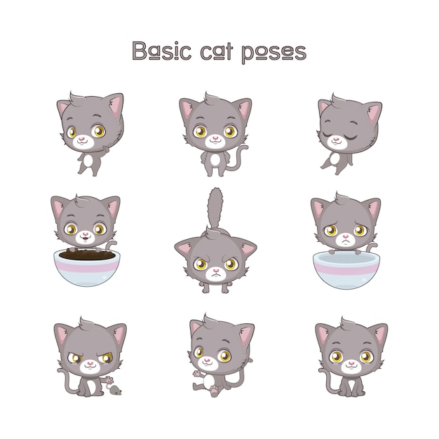 Colección de poses básicas de gatos