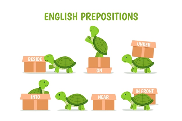 Vector colección de preposiciones en inglés con tortuga.