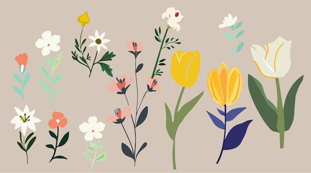 Colección de primavera colorido ramo de flores elementos vectoriales Conjunto floral botánico de flores silvestres