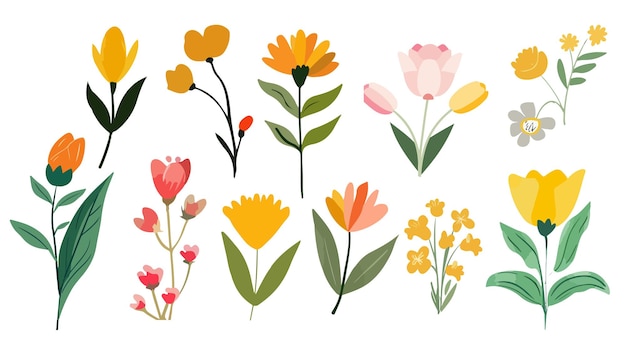 Colección de primavera colorido ramo de flores elementos vectoriales Conjunto floral botánico de flores silvestres