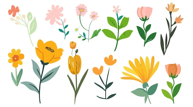 Colección de primavera colorido ramo de flores elementos vectoriales Conjunto floral botánico de flores silvestres