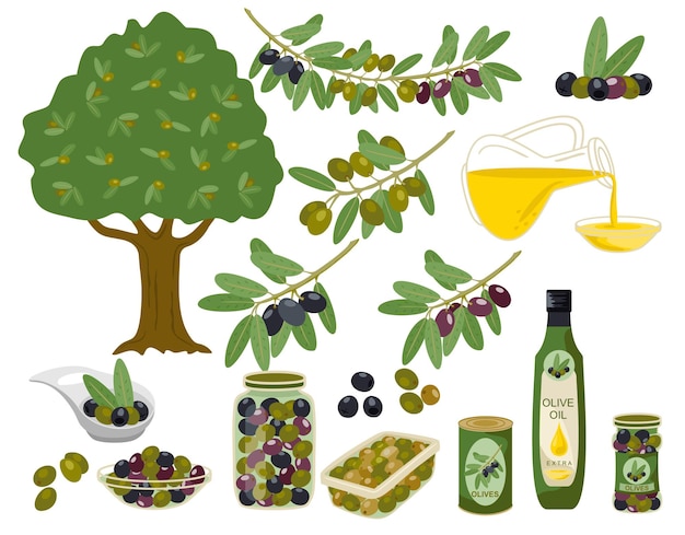 Colección de productos de la aceituna.