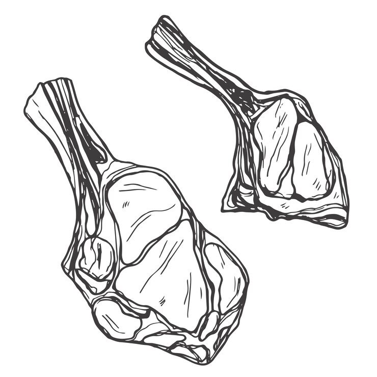 Vector colección de productos de carne fresca aislados sobre un fondo blanco