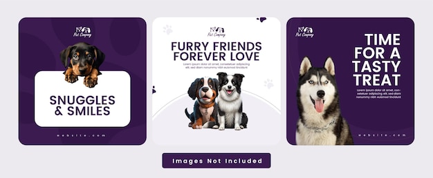Colección de publicaciones en las redes sociales de Pet Food and Pet Love Care