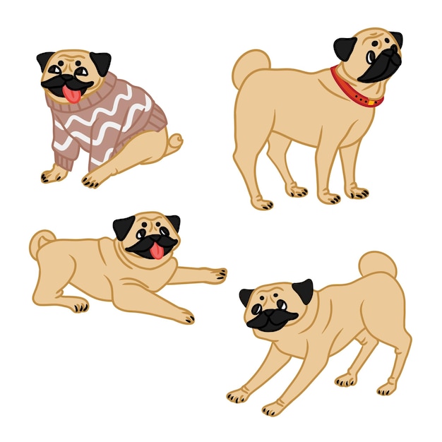 Colección de pugs Ilustración vectorial aislada sobre fondo blanco Elemento de diseño