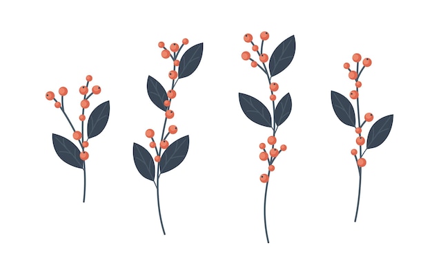 Colección de ramas de acebo, ilustración de vector de decoración de invierno ilex en estilo plano