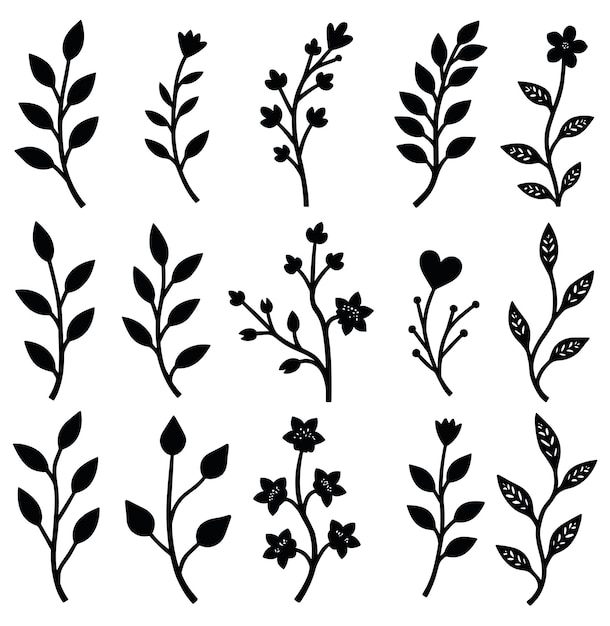 Colección de ramas florales y siluetas de hojas