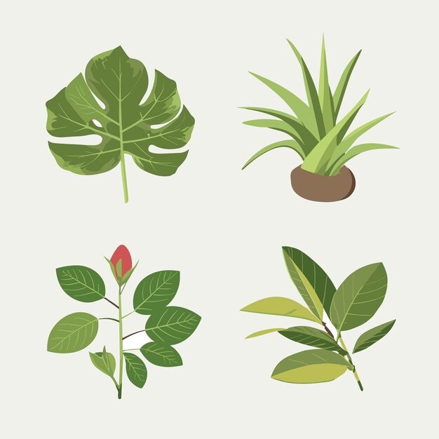 Vector una colección de ramas de plantas