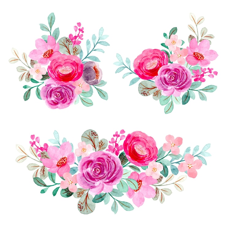 Vector colección de ramo floral rosa púrpura con acuarela