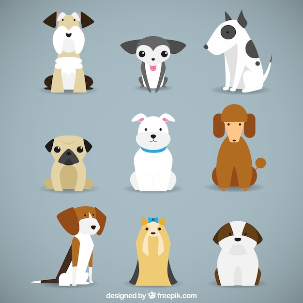 Vector colección de razas de perro