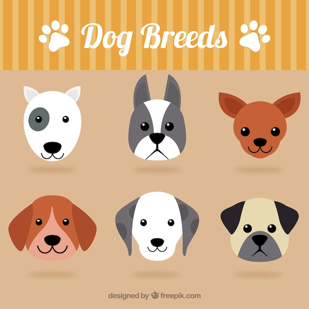 Colección de razas de perros adorables
