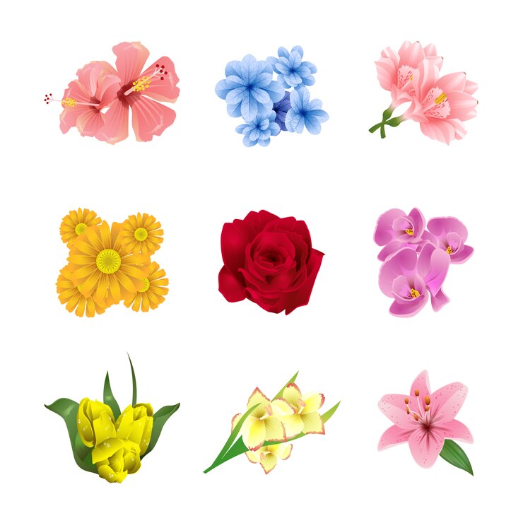 Vector colección realista de flores de primavera