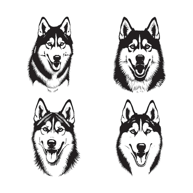 Colección de retratos de silueta de un Husky siberiano con ilustraciones vectoriales