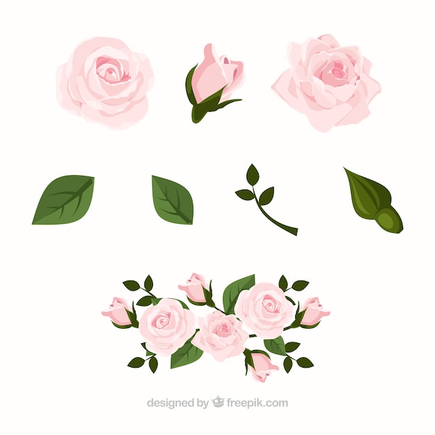Vector colección de rosas en diseño realista