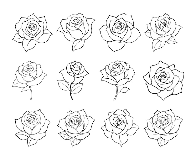 Una colección de rosas con un fondo blanco Set de arte de la línea de flores de rosas