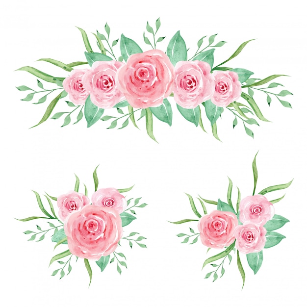 Colección de rosas rosadas de acuarela