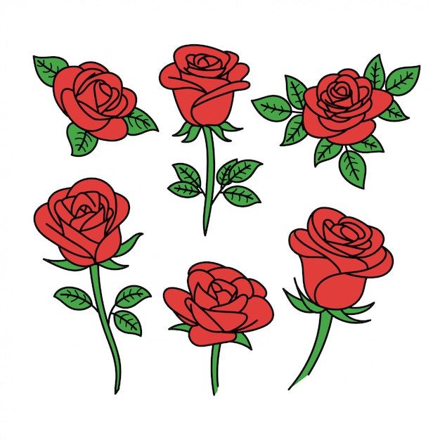 Vector colección de rosas