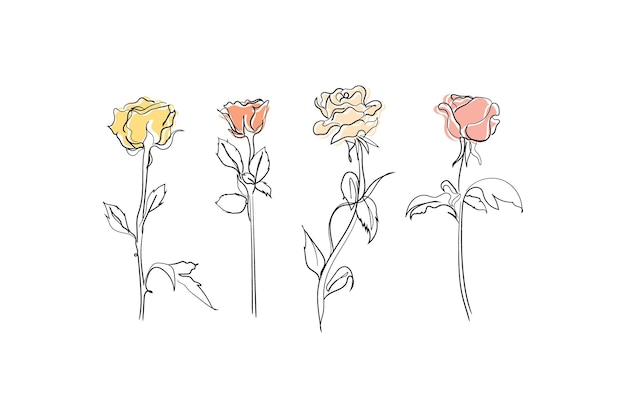 colección de rosas