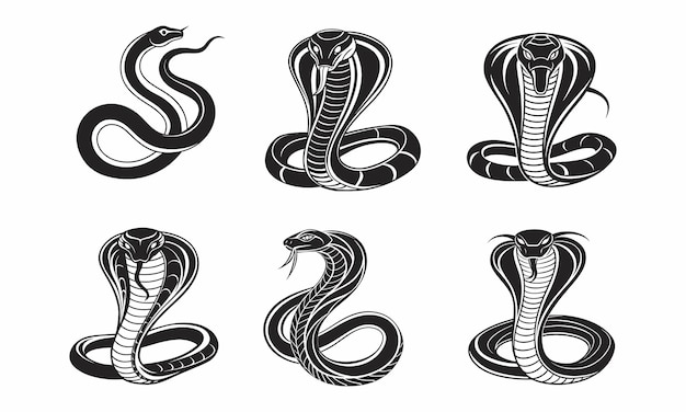 Colección de seis ilustraciones de arte de línea negra de serpientes y cobras