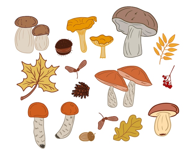 Colección de setas y semillas de otoño de color plano Vector elementos aislados dibujados a mano