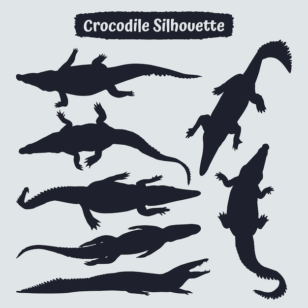 Colección de silueta de cocodrilo en diferentes poses