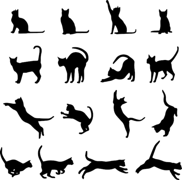 Colección de silueta de gato Conjunto de silueta de gato negro Colección de silueta de gatito
