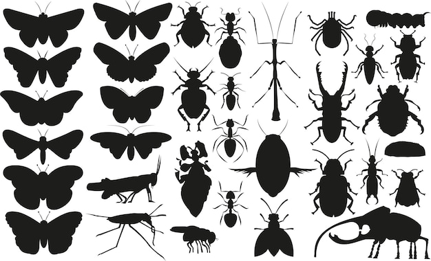 Vector colección de silueta de insectos vectoriales