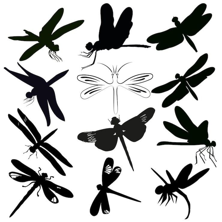 Vector colección de silueta de libélula vector gratis