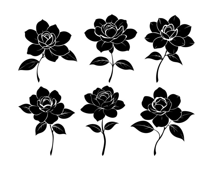 Colección de silueta de pétalos de gardenia Colección de flores de gardenia con silueta