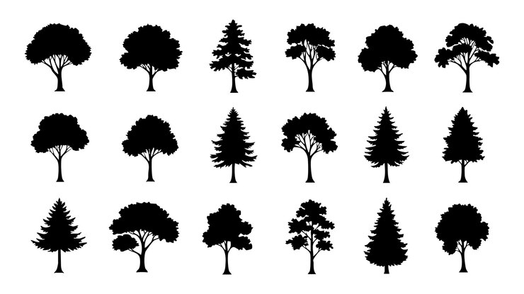 Colección de siluetas de árboles para diseños de naturaleza y paisaje Íconos de silueta de árboles negros para diseño