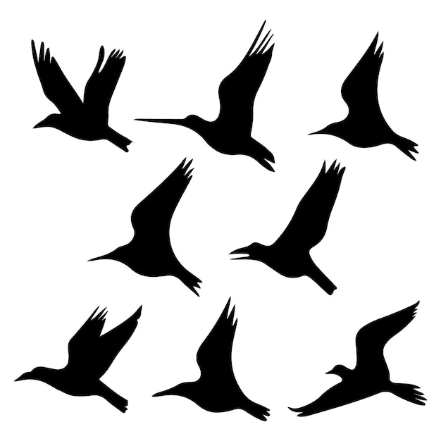 Colección de siluetas de aves y animales dibujadas a mano