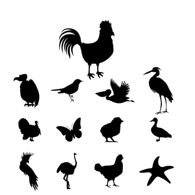 Colección de siluetas de aves