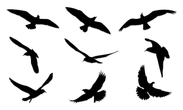 Colección de siluetas de aves