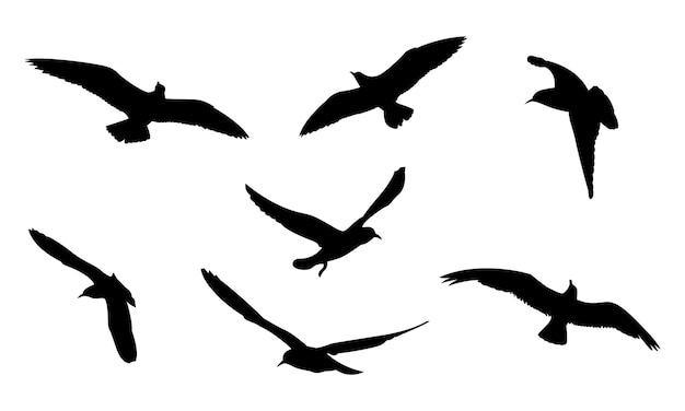 Colección de siluetas de aves