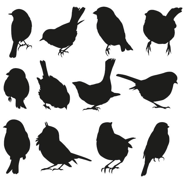 Vector colección de siluetas de aves