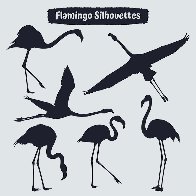 Colección de siluetas de Bird Flamingo en diferentes posiciones.