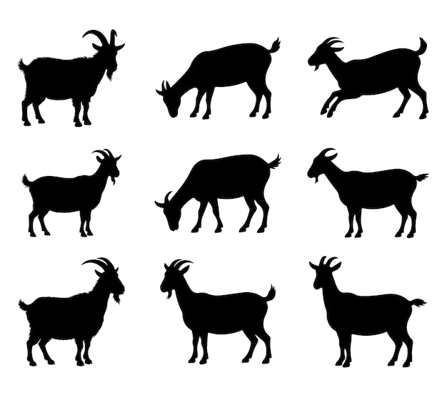 Colección de siluetas de cabras negras