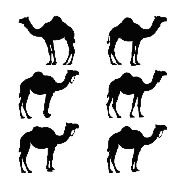 Colección de siluetas de camello