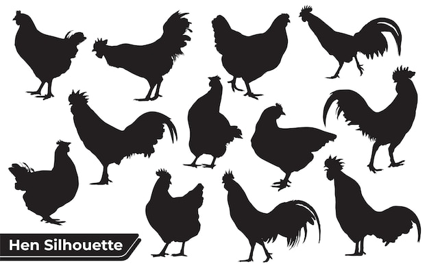 Vector colección de siluetas de gallinas o gallinas en diferentes poses